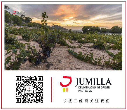 CODIGO-WECHAT-JUMILLA.jpg