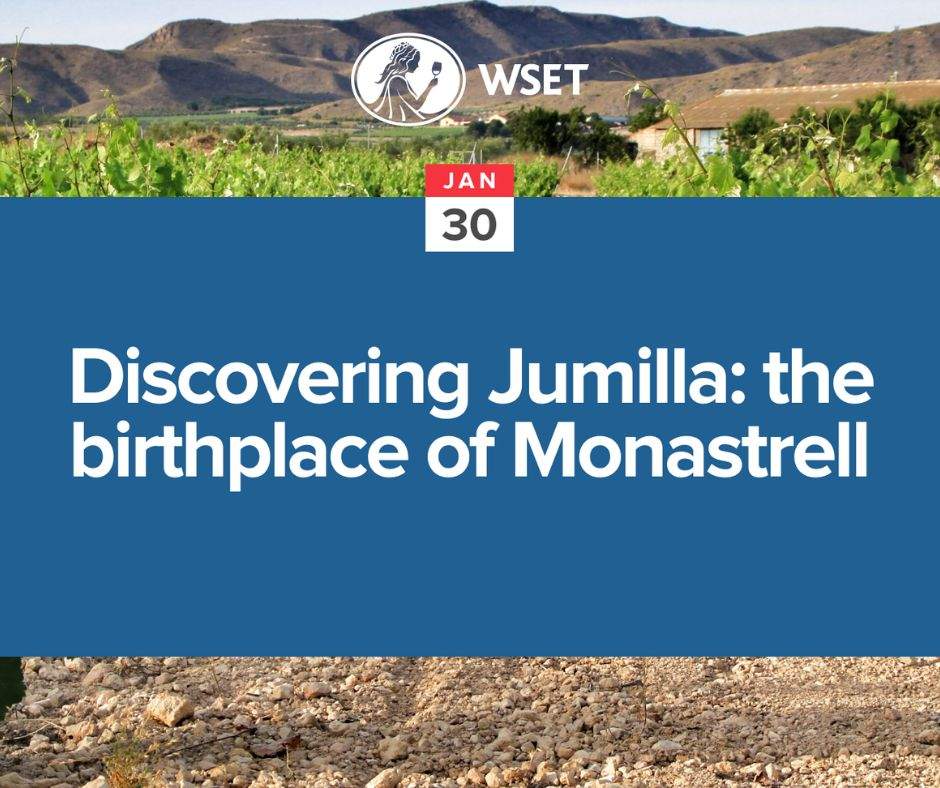 Cartel del seminario online. (DOP Jumilla)